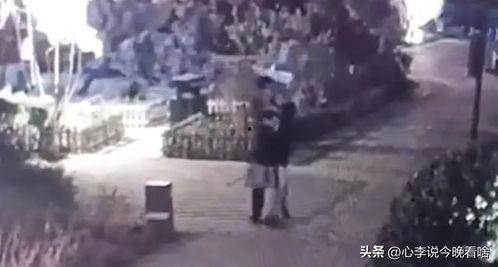 城西吃瓜事件真相视频,揭秘真相背后的惊人内幕