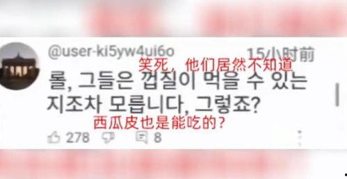 韩国看猪吃瓜视频在线观看,在线观看趣味十足！