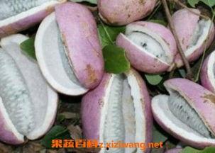八月瓜有几种做法吃的视频,解锁美味新体验